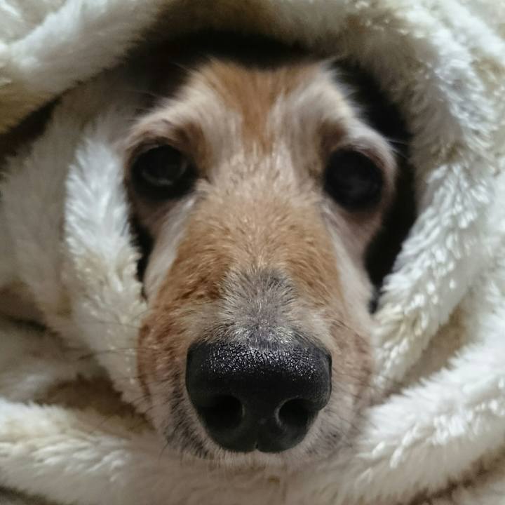 A4017bf7 9b0d 459c 9d0f 9caf929ba755