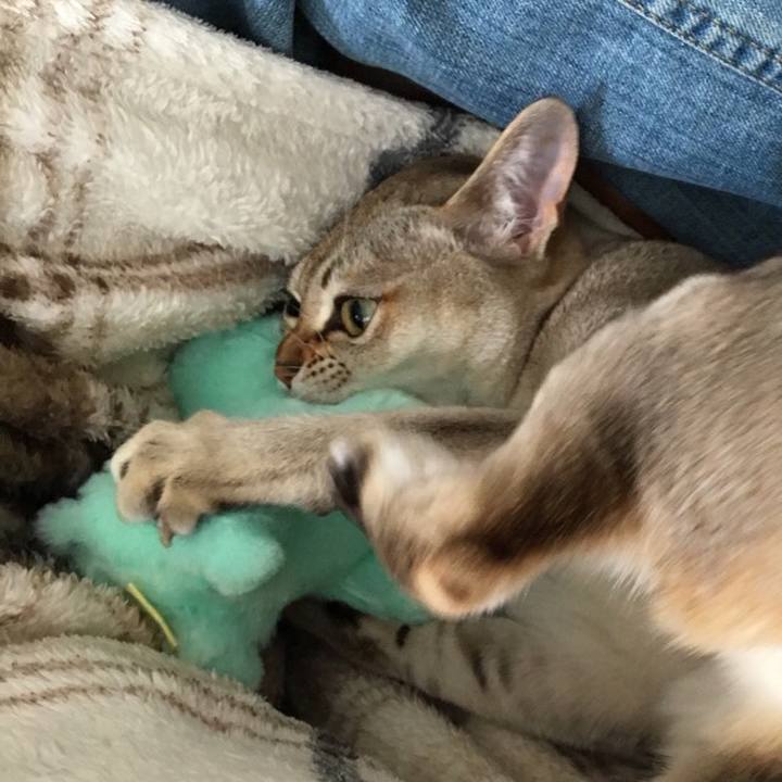 A4020036 ad7f 4392 b1e4 7ab767ca7e20