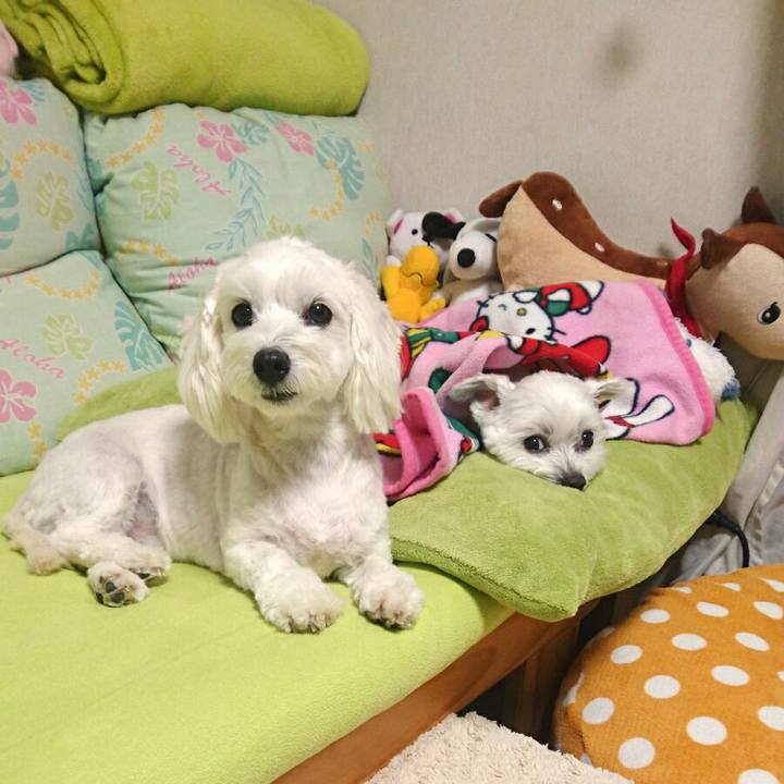 A402efc2 15b7 4f64 b417 d9a8b0844459