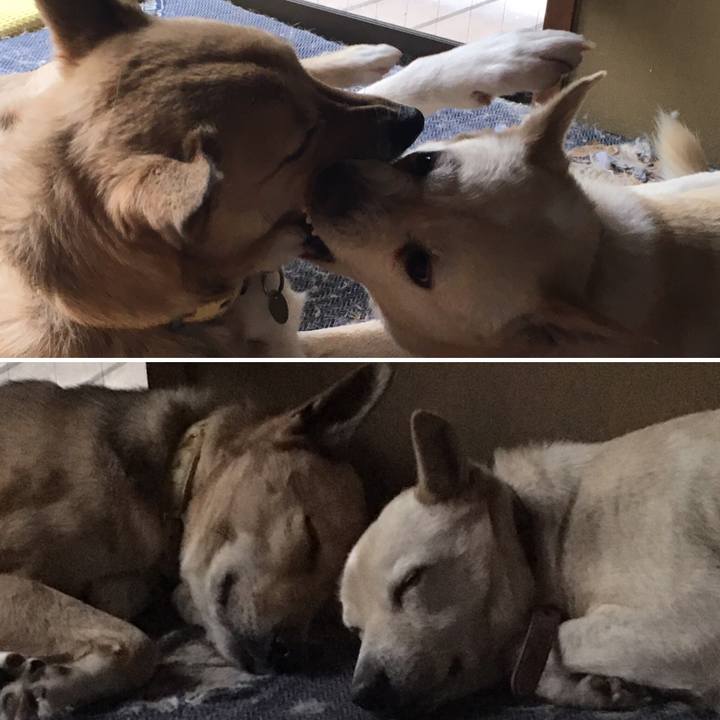 A402ffe9 f96b 4d5c 81b6 197b7b6a6c1e