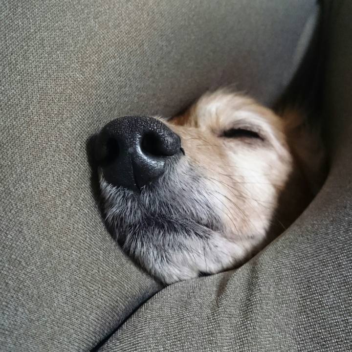 A4033d73 65ed 41d6 8ddf 4ff5a6f065be