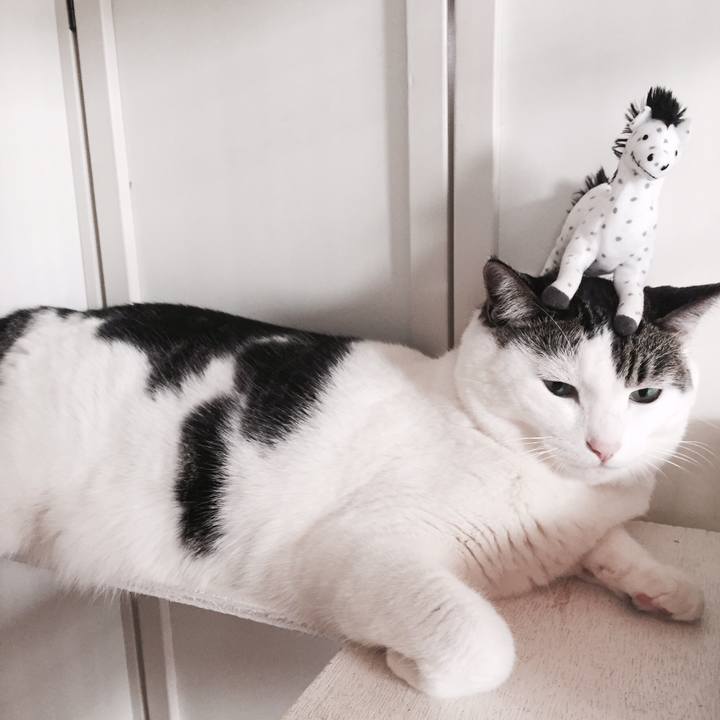 A403b9f0 4378 456f b3f1 1afb2343b32d