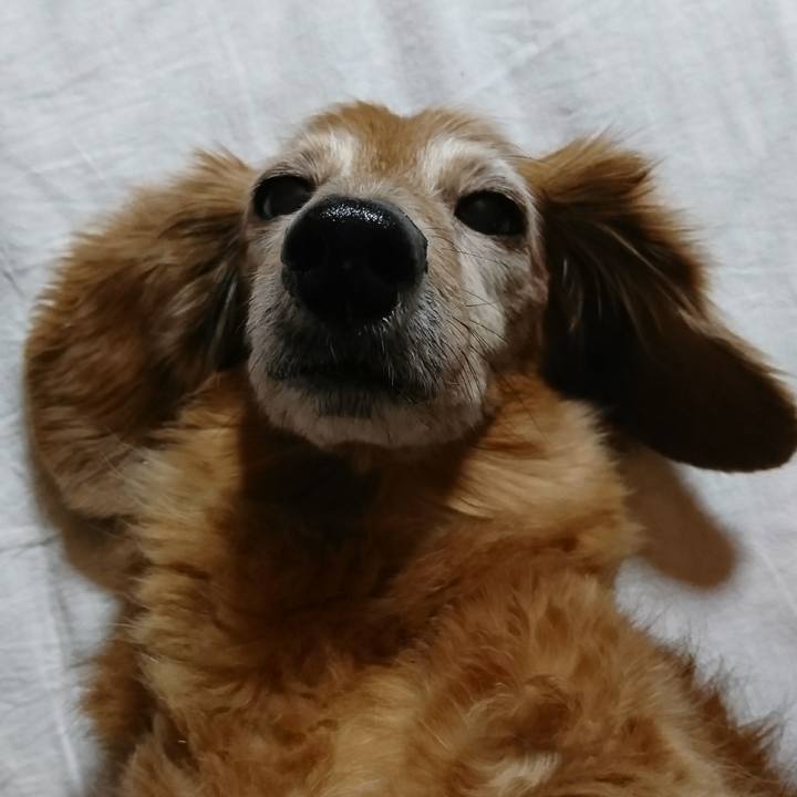 A403dda3 89cb 415f b7d5 25faeac28ba5