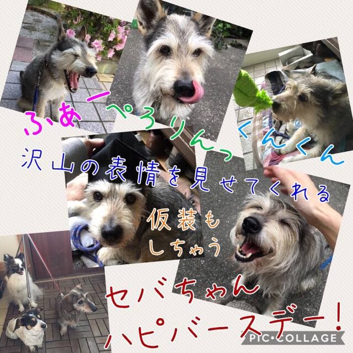 A403f574 7789 4c7c abe3 8e522d843948