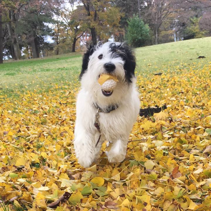 A404f02e 4330 4e61 9430 24844dd97df7