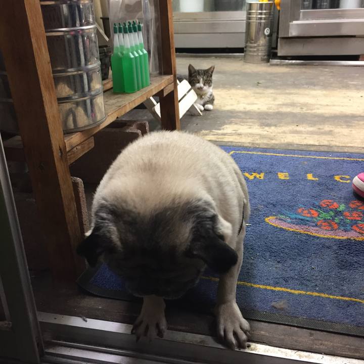 A4051dc6 5e92 4b2f 9b3d 520cf3faf4e3