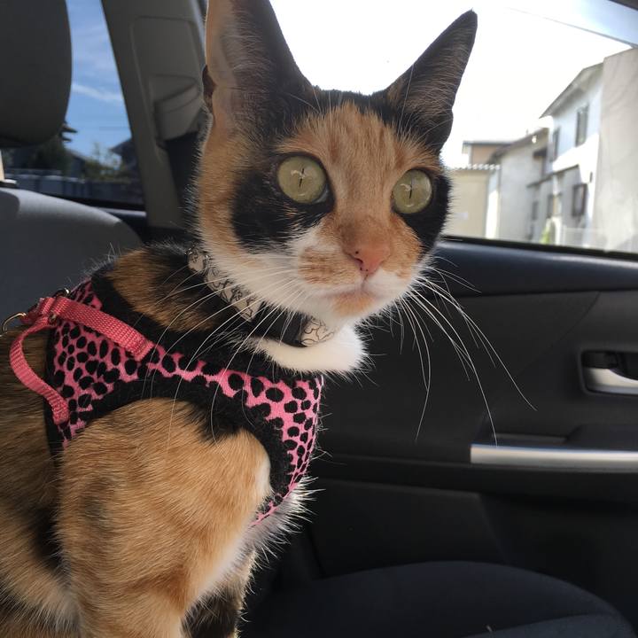 A406081b d281 4b17 a002 b6a8b1b5708c