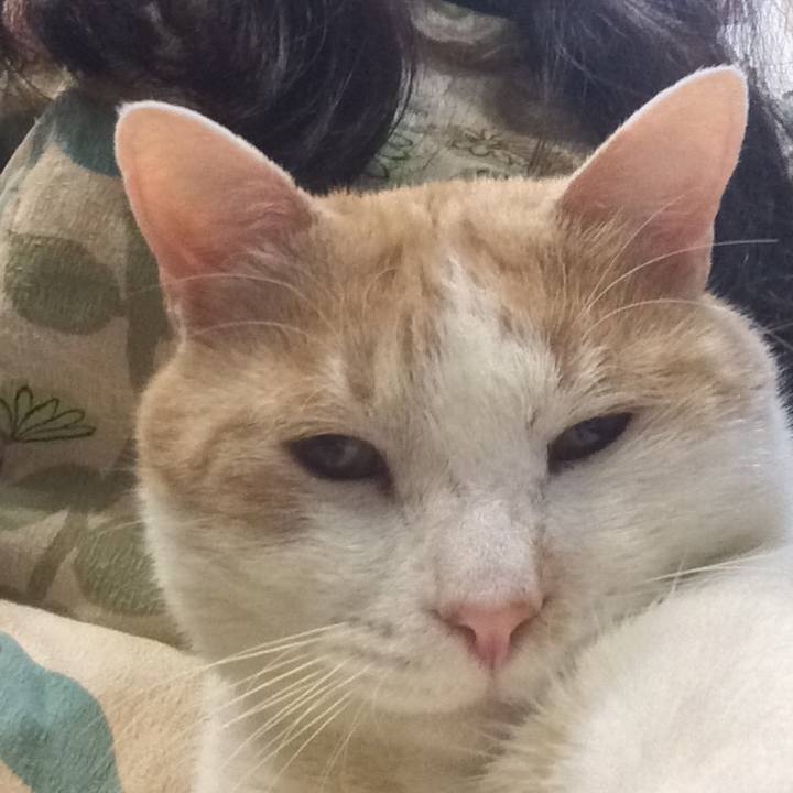 A406094f 4fb5 4dac 9d0e 27e7e875130f