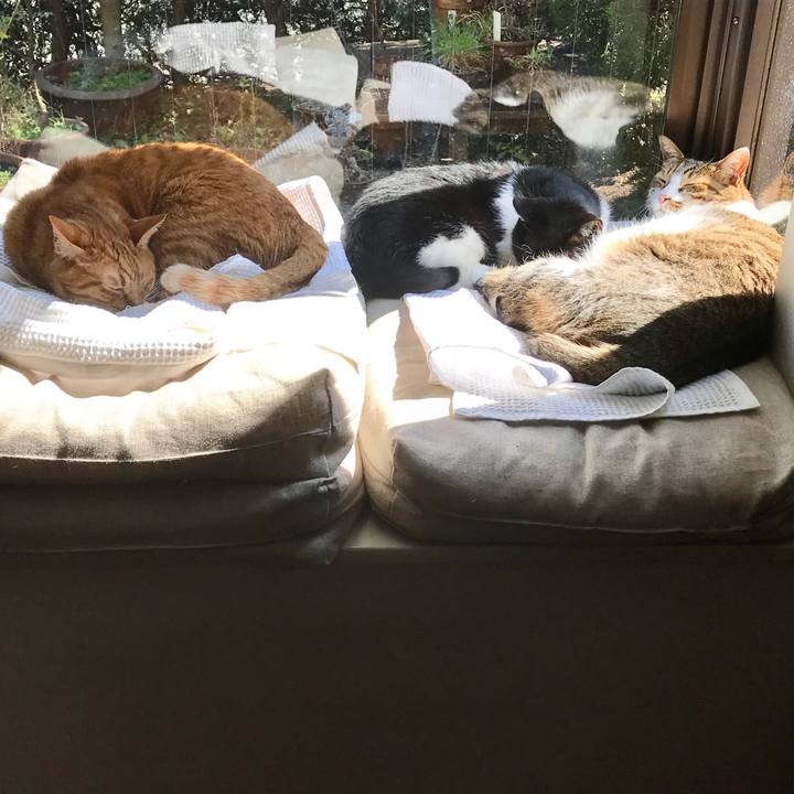 A406216f 6e3f 4a42 a867 fad6901e6999