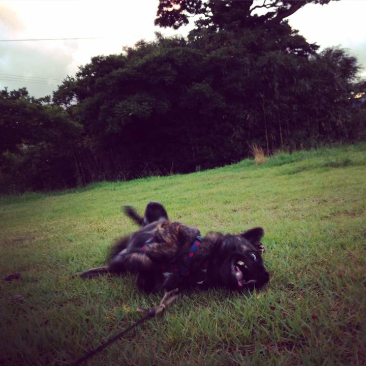 A4065590 883f 46da 8173 7ace6959efd9