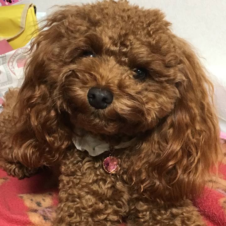 A4067b48 0aff 4124 9ce0 e0f7428918ac