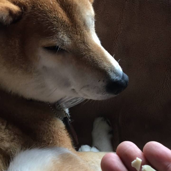 A4069a71 d3ba 4e7f 82a7 0989a6da4a46