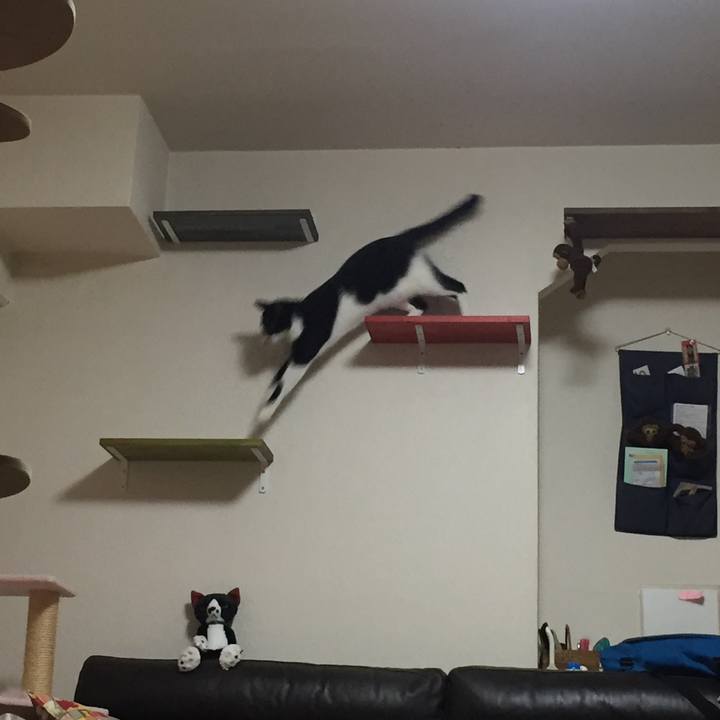 A40725c9 2af3 45bb 8ddf 66f9149dfb25