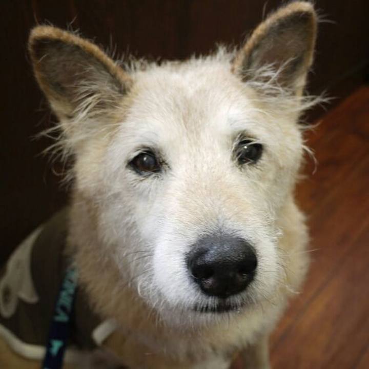 A407759e 5e01 4c9a b27e bf737136bc79