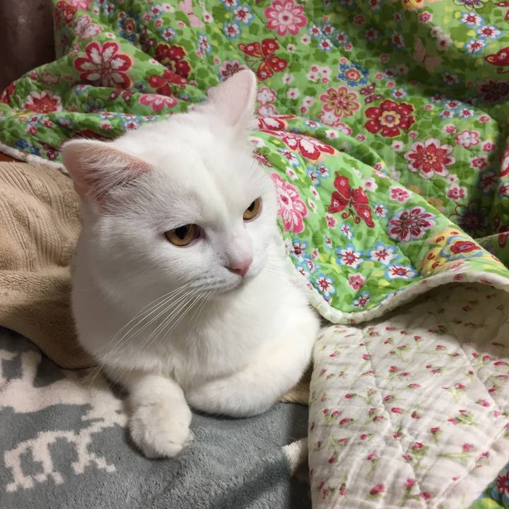 A407b0ba 2947 4686 87a6 c6d0635bef4e