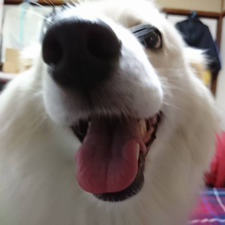 A4097e7a ff7a 4d6d 9a68 e004d2f4d329