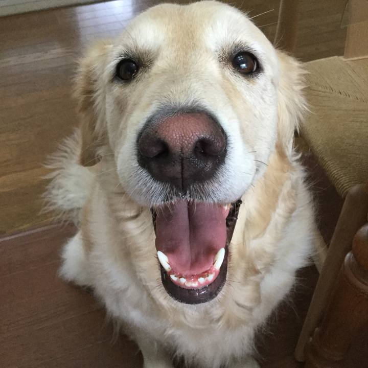 A409db2e a02c 44be bf30 a514b223d715