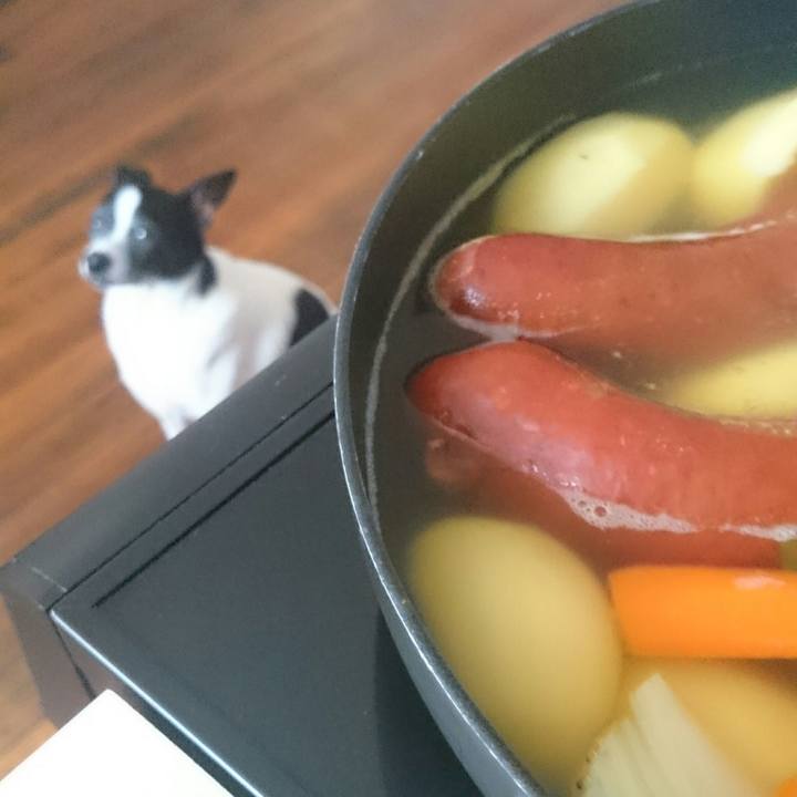 A40a720b f392 48bb 9ab6 b52d31a106c1