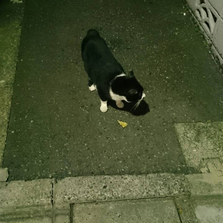 A40a9180 e2c6 4487 a47a 26e6990974f6