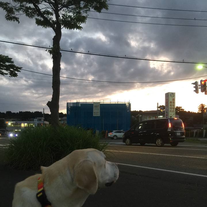 A40b6059 801d 441a bff6 6abd1f53986b