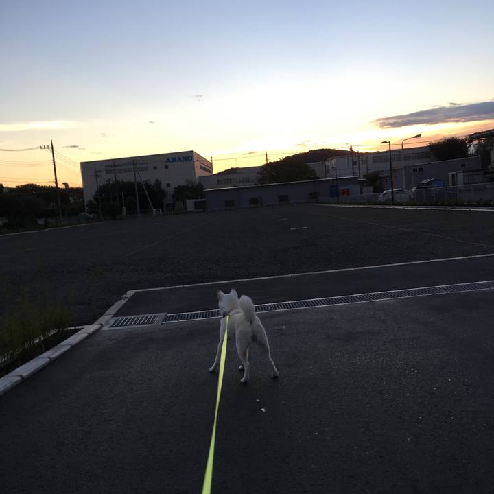 A40bea72 1539 409a 84e5 ce357aa674c4