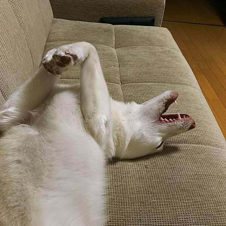 A40c2a3f 6e9d 47ab 860a 81d9bb3c549f