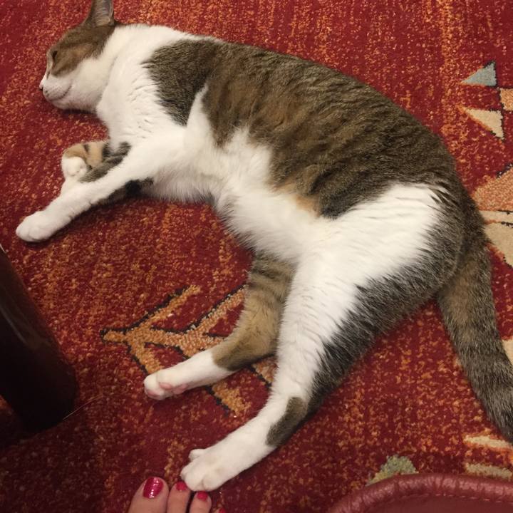 A40cbf34 f3de 4d24 b878 db7cdaa7cdee