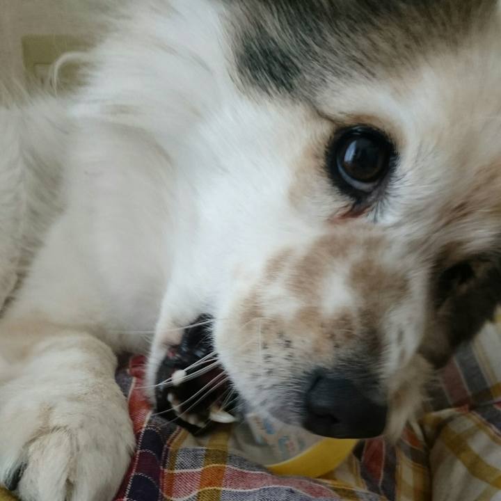 A40cdde3 bbe3 45e3 9cf3 bb31c3881174