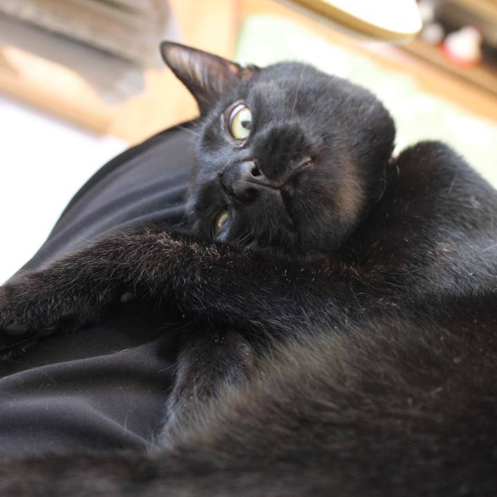 A40cf4fb 2d74 499b a808 7deb30d7b8f9