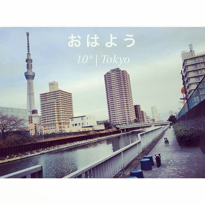 A40d355f e8fb 476a a56e 40a13a3819d6