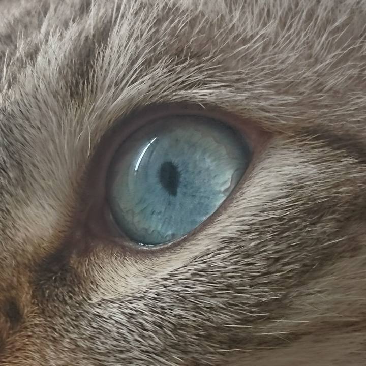 A40d79ad 69b1 4480 b9ac af6c4e8c3ef3