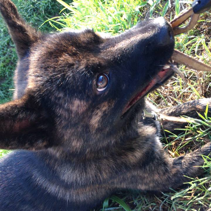 A40d9355 4313 46ea bbd4 d5e0f502a040