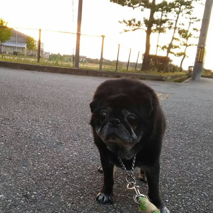 A40d96ab 171b 40de a8c5 f8784058beae