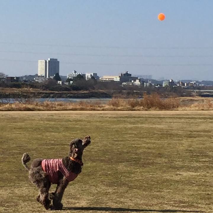 A40db6f0 f2d1 4dfc a6de 64173572561b