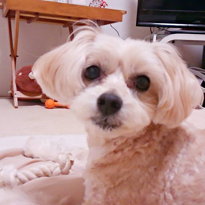 A40e07e5 c430 4c79 ae44 b586869c4e93