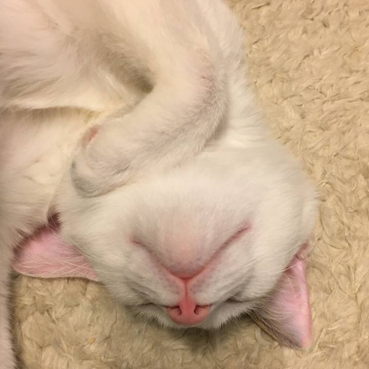 A40e5c0f 3f9c 4ad4 a013 1fa1a9b1ed18