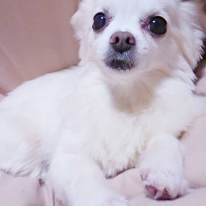 A40f174b 4ff2 4542 a1dd 20bd36fac6be