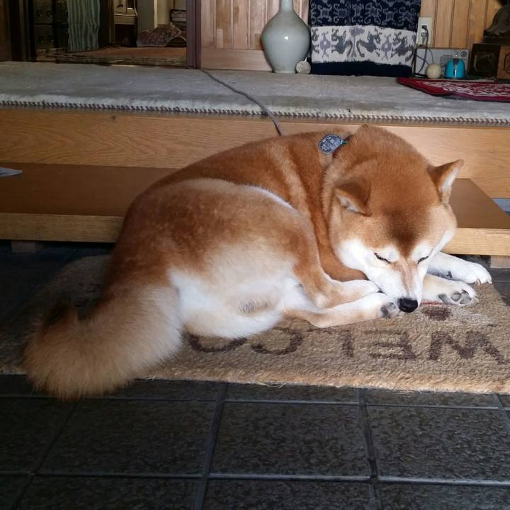 A40f188b 9752 4f40 b6ff 541914f5f072