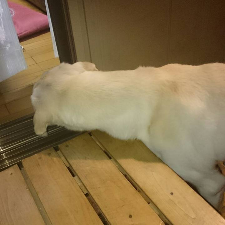 A40fc161 1c00 40e2 900c d3f5a69296c3