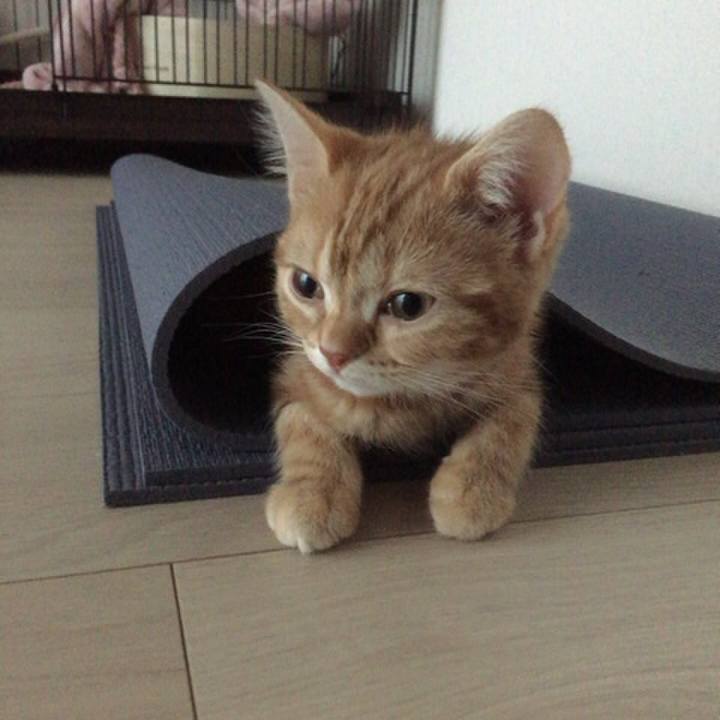 A4107fc4 7c51 40ea 842a 3424def04324