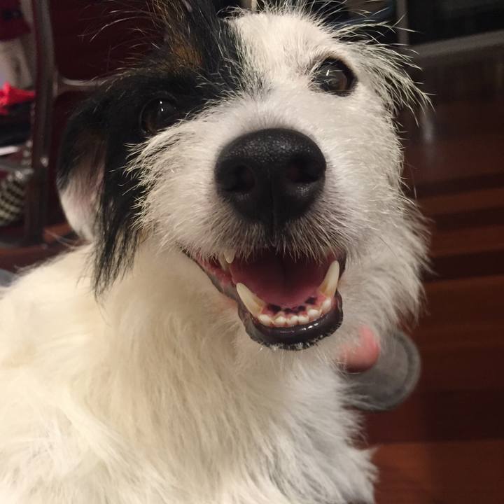 A4111bca e209 4979 b0d7 6be52134801f