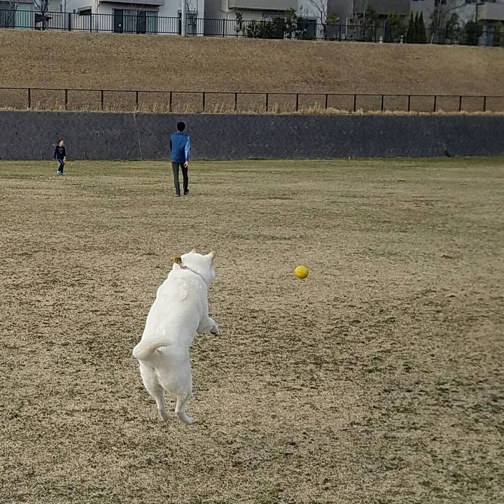 A4114954 e197 4cd7 8242 a6f606c46d7a