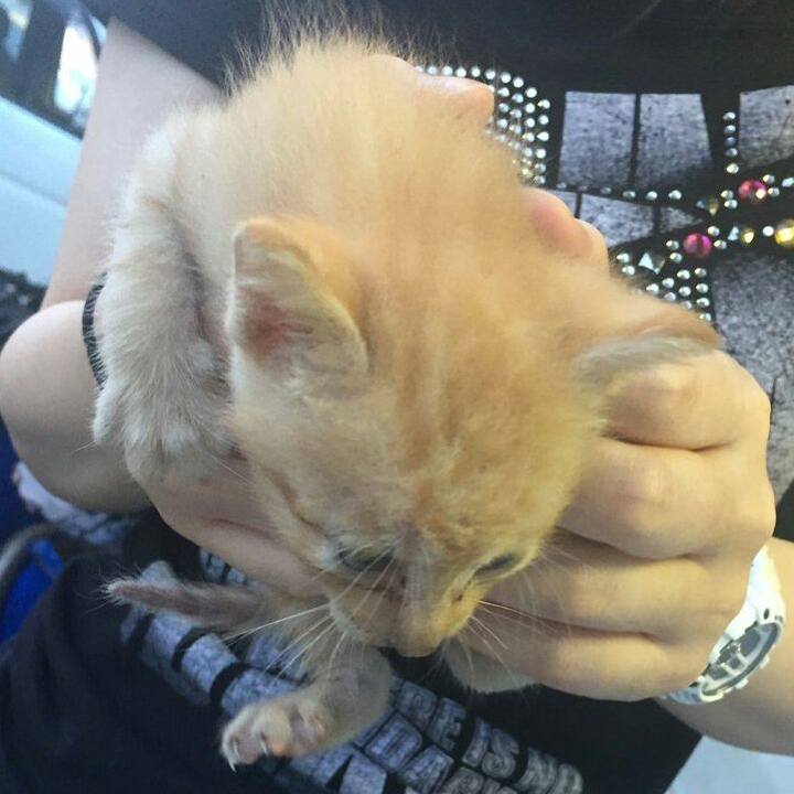 A4116542 5bec 481c bc9d 80582f6b9f08