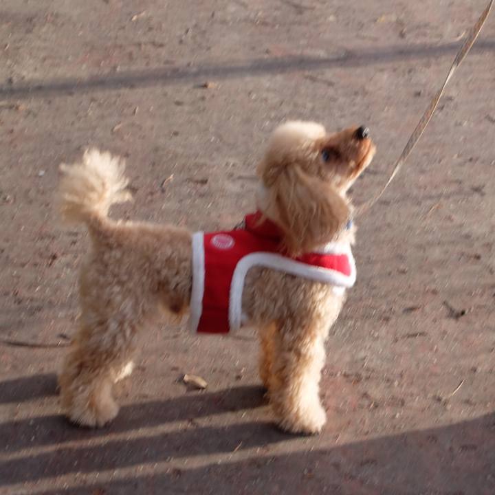 A411e500 d14f 4b99 aa00 10b3ae975ee6