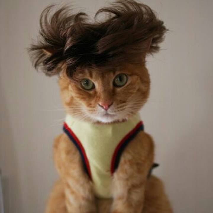 A4121c99 6404 4053 9851 a0a6d07d48ba