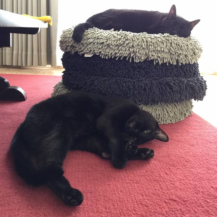 A4125bc7 3bbb 4791 be62 b1d46dbcc2a1