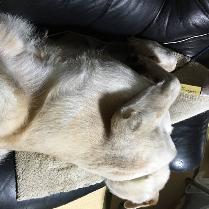 A4127084 462a 4b3d 85ae e563b7daeb18