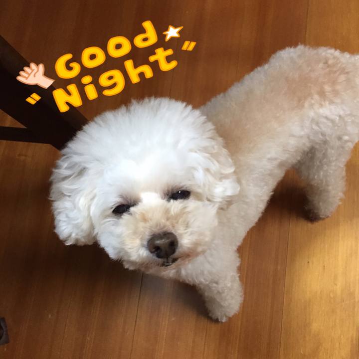 A412e5ba 8bc4 4952 b693 3de042639eb3