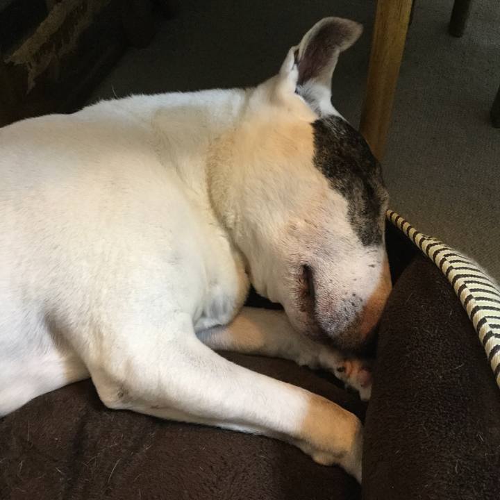 A4136ae3 60a5 4f1d aaf9 e65b28338a85