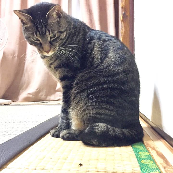 A4138c0f 19ad 4827 ab48 a38a3db5aab6